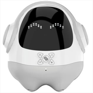 國內(nèi)兒童陪伴機器人品牌盤點與市場現(xiàn)狀